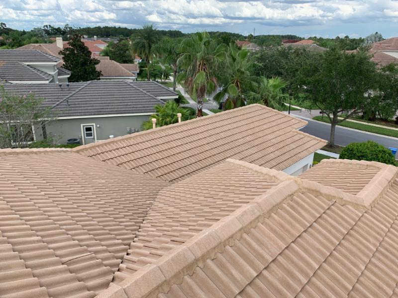 Softwashing a roof in Tampa Bay