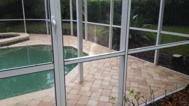 Us cleaning a pool of a customer in Tampa Bay area.