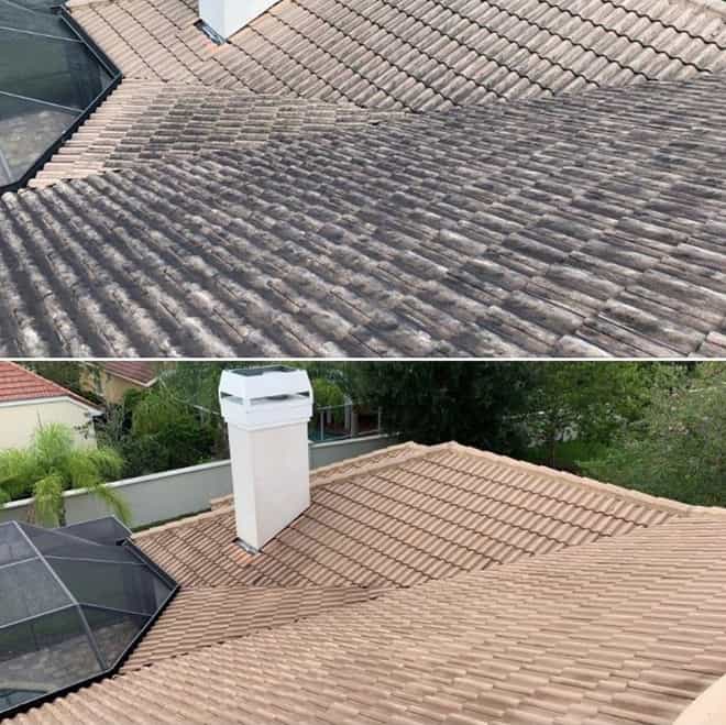Our roof cleaning job for a customer in Tampa.