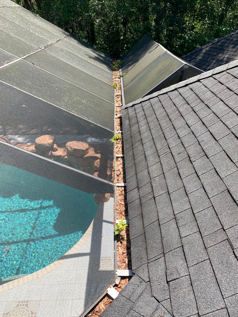 Roof and gutter cleaning before image
