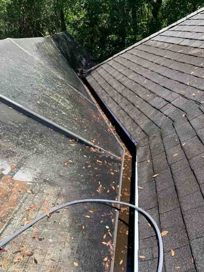Roof and gutter cleaning before image