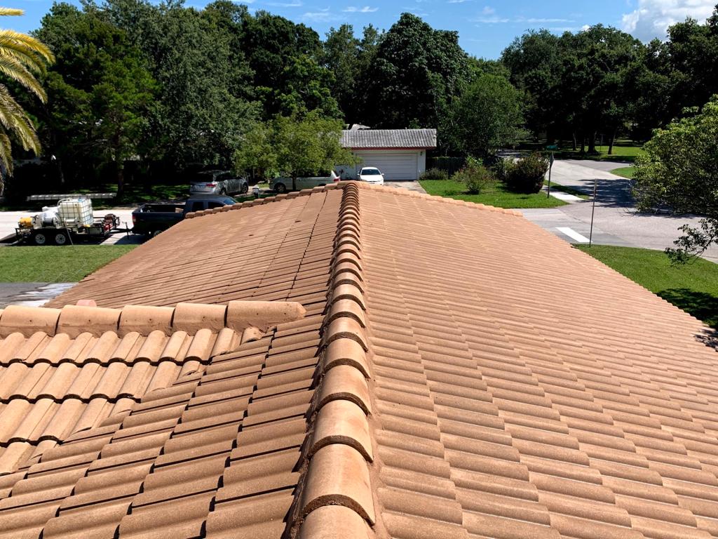 Image showing our soft washing job featuring a tiled roof in Clearwater.